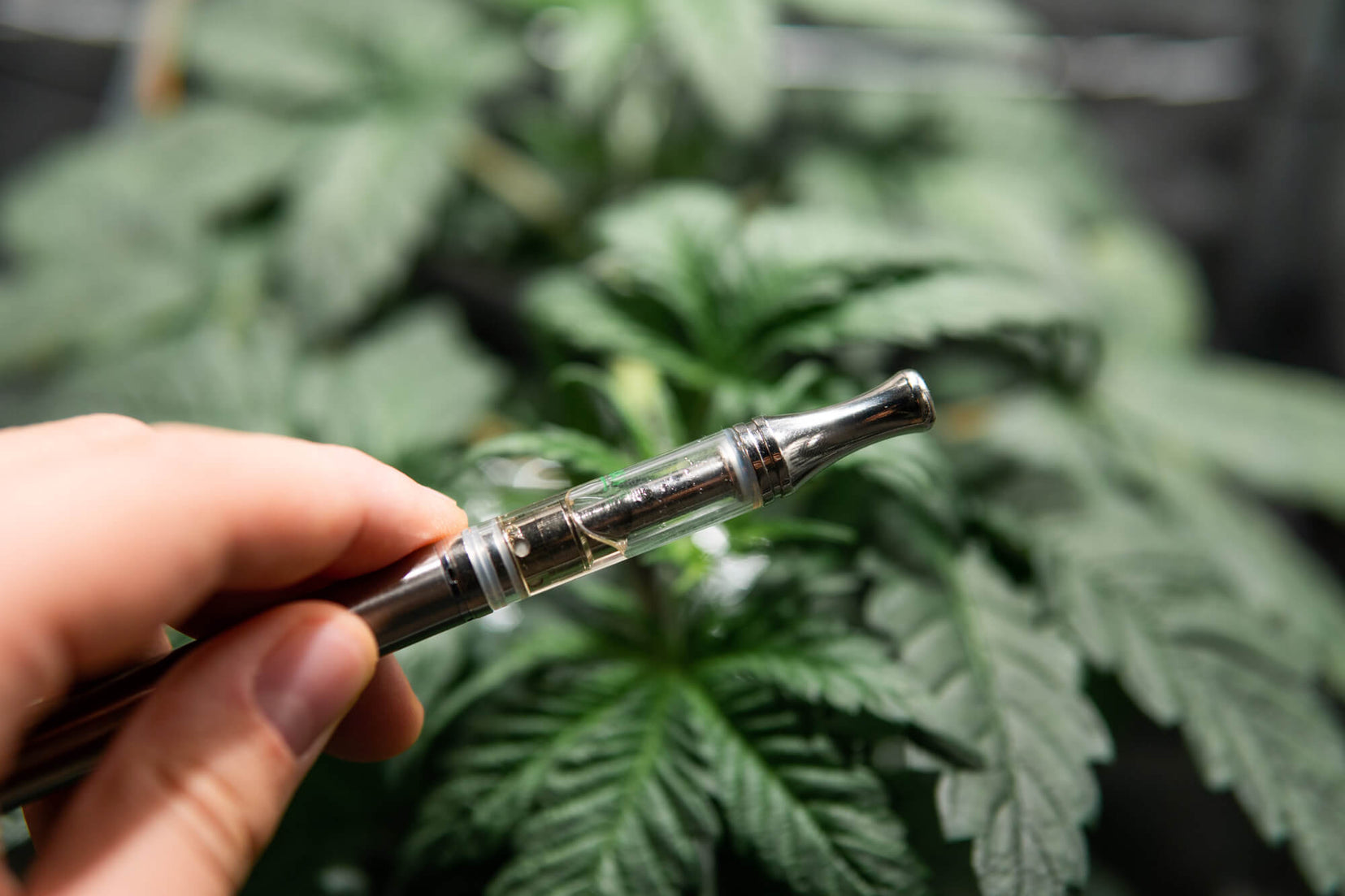 Vaping Delta-8 THC: Dos And Don'ts