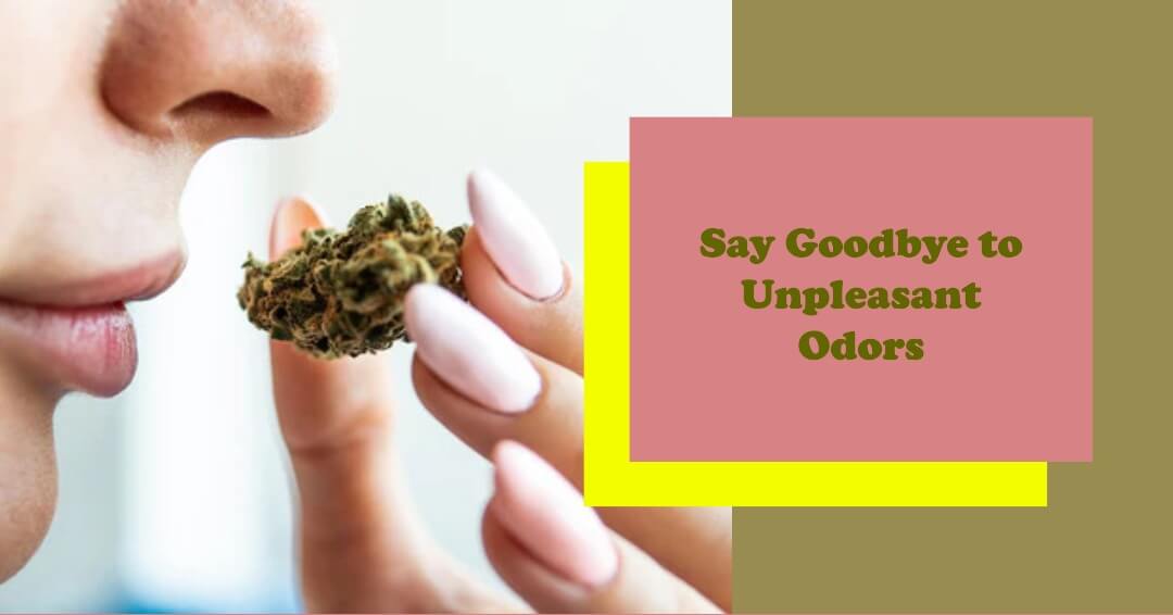 Best Odor Eliminator Spray on Amazon!