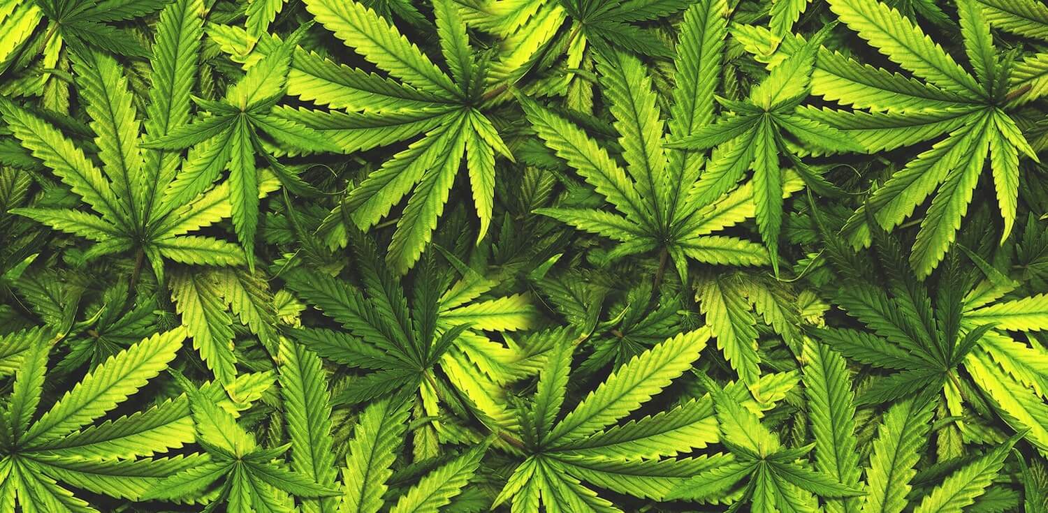 Is Edible Marijuana Safer Than Smoking?