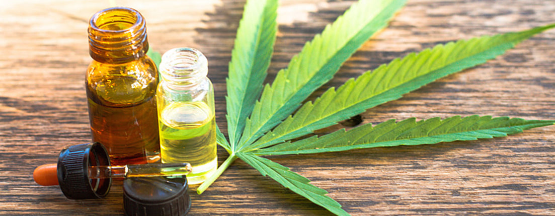 cbd oil marijuana cannabis