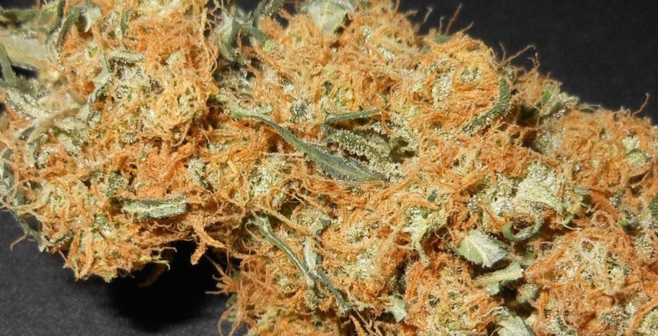 g13 weed nug smoke