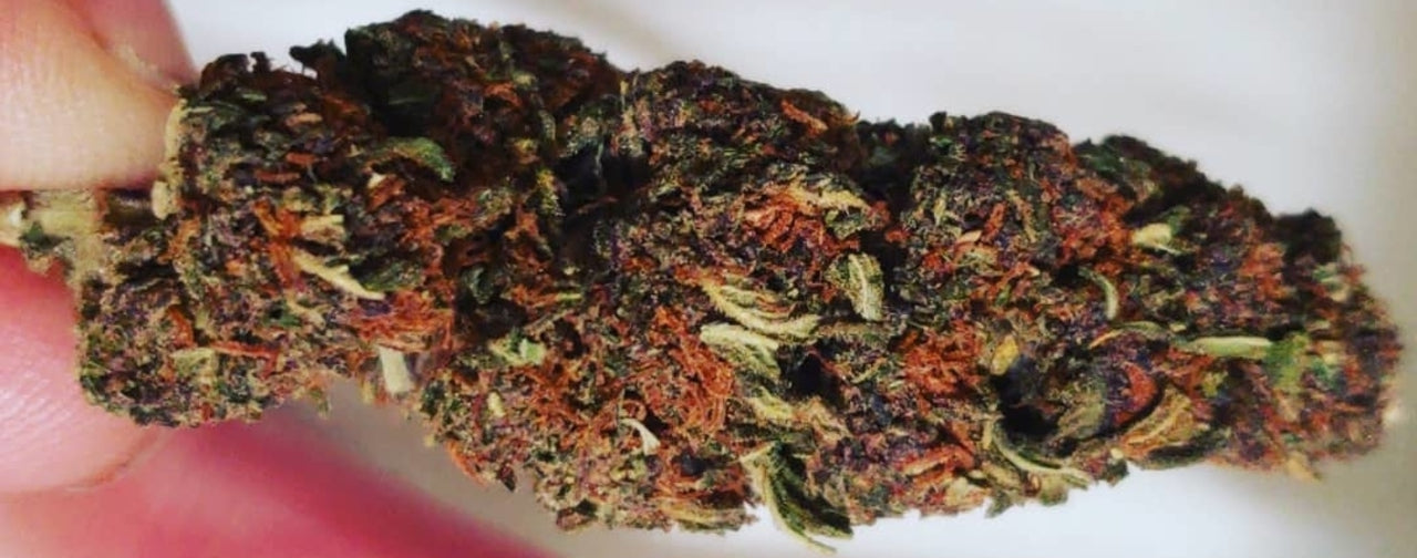 jager strain marijuana indica