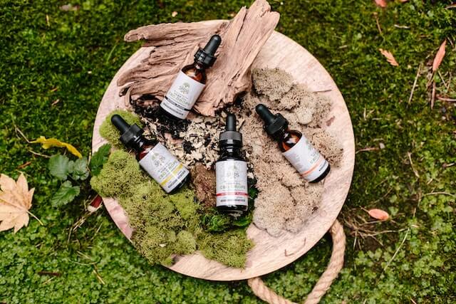CBD for Pets: Can It Help Improve Your Furry Friend's Wellbeing?