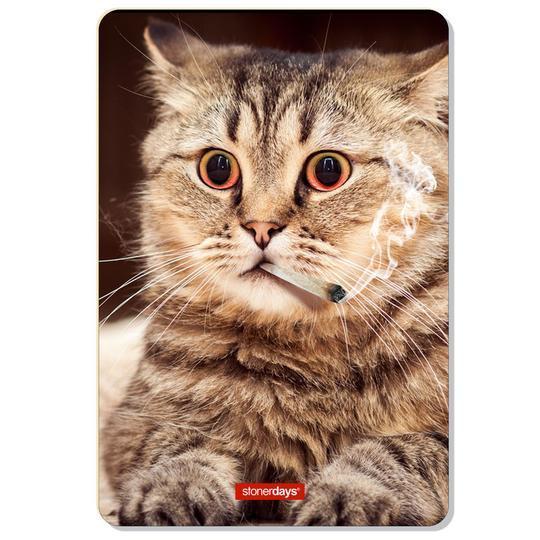 dab accessories High Kitty Dab Mat