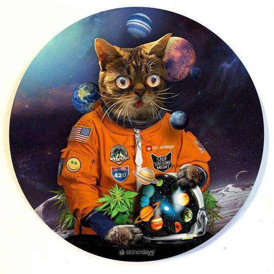dab accessories CATSTRONAUT DAB MAT