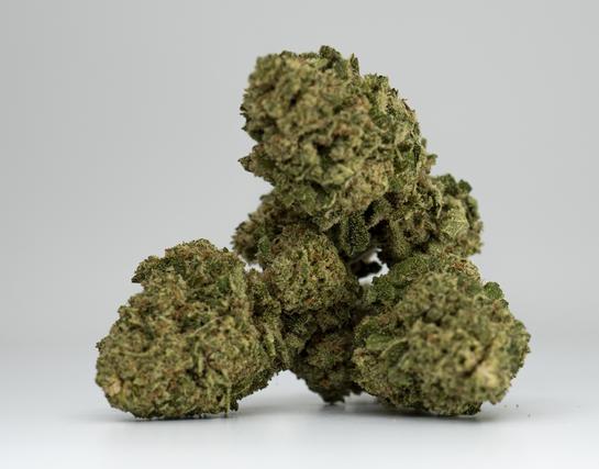 Black Tie CBD | CHEESE (INDOOR) Hemp Flower