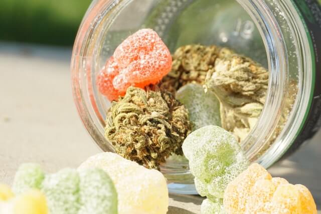 What Should You Look Out For When Buying CBD Gummies