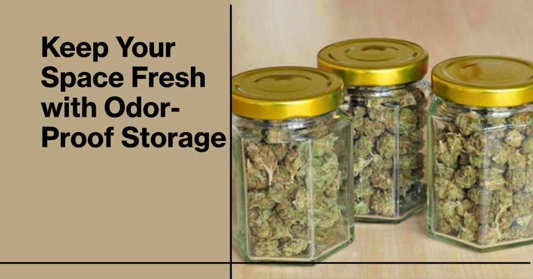  Best odor proof storage bags & containers