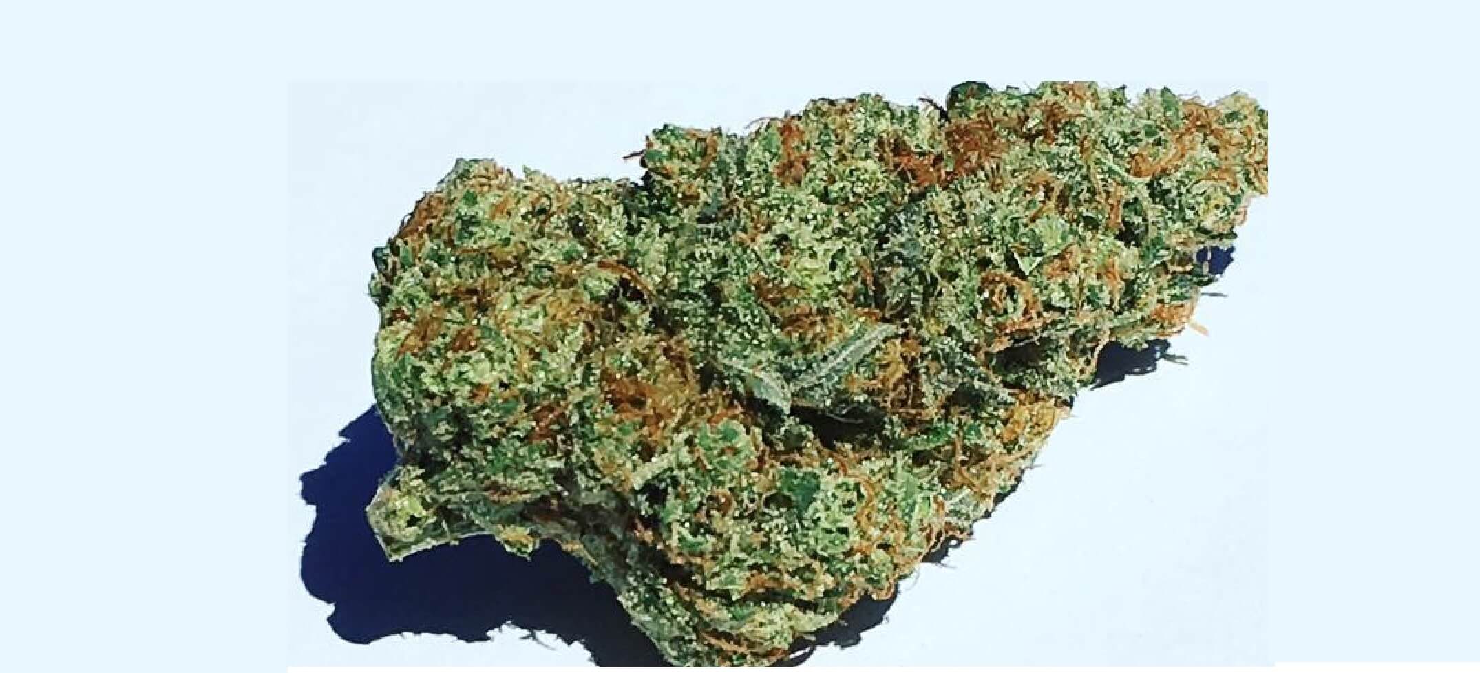 Bruce Banner Strain | Bruce Banner Weed