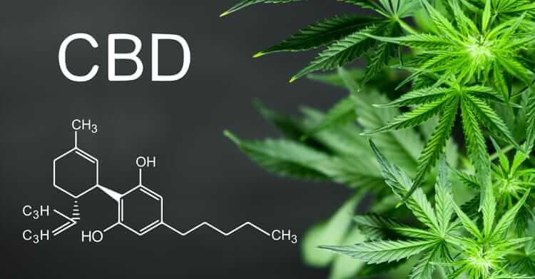 Top 10 Ways to Take CBD