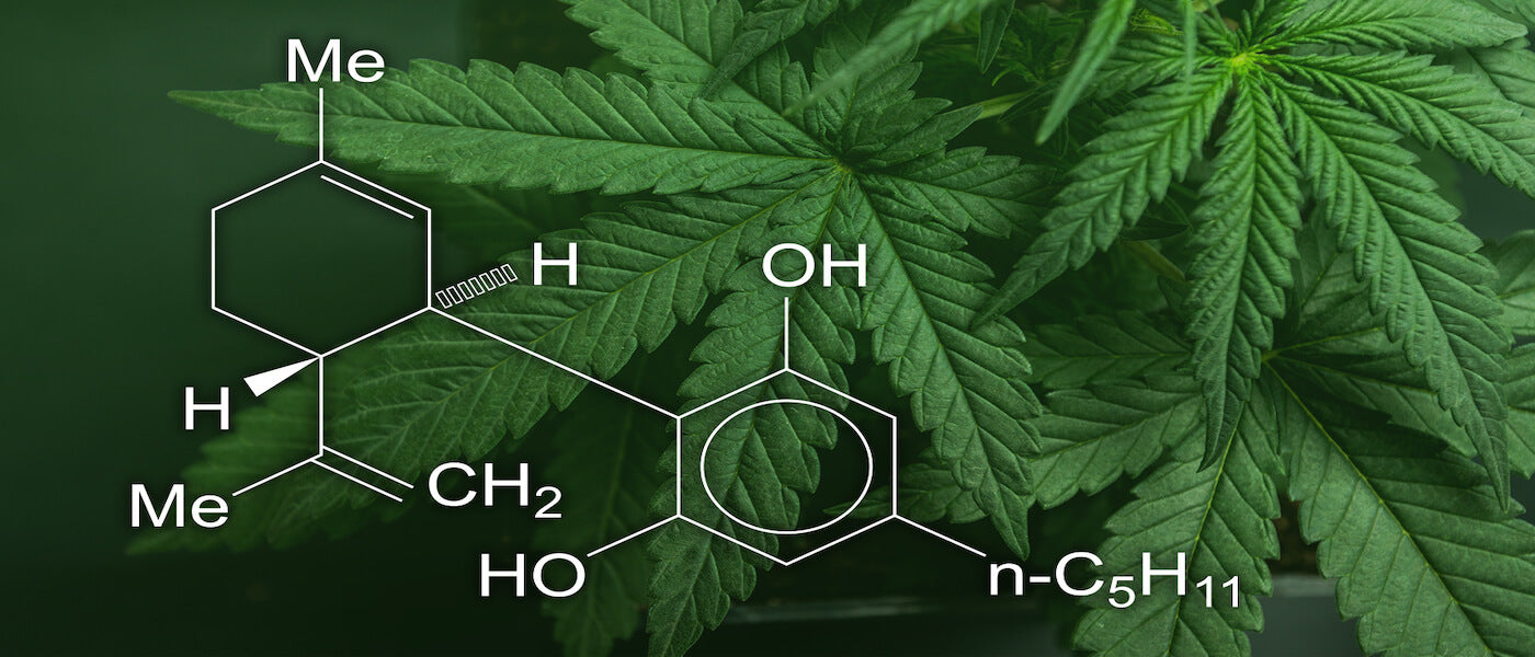 3 Benefits of High Potency CBD