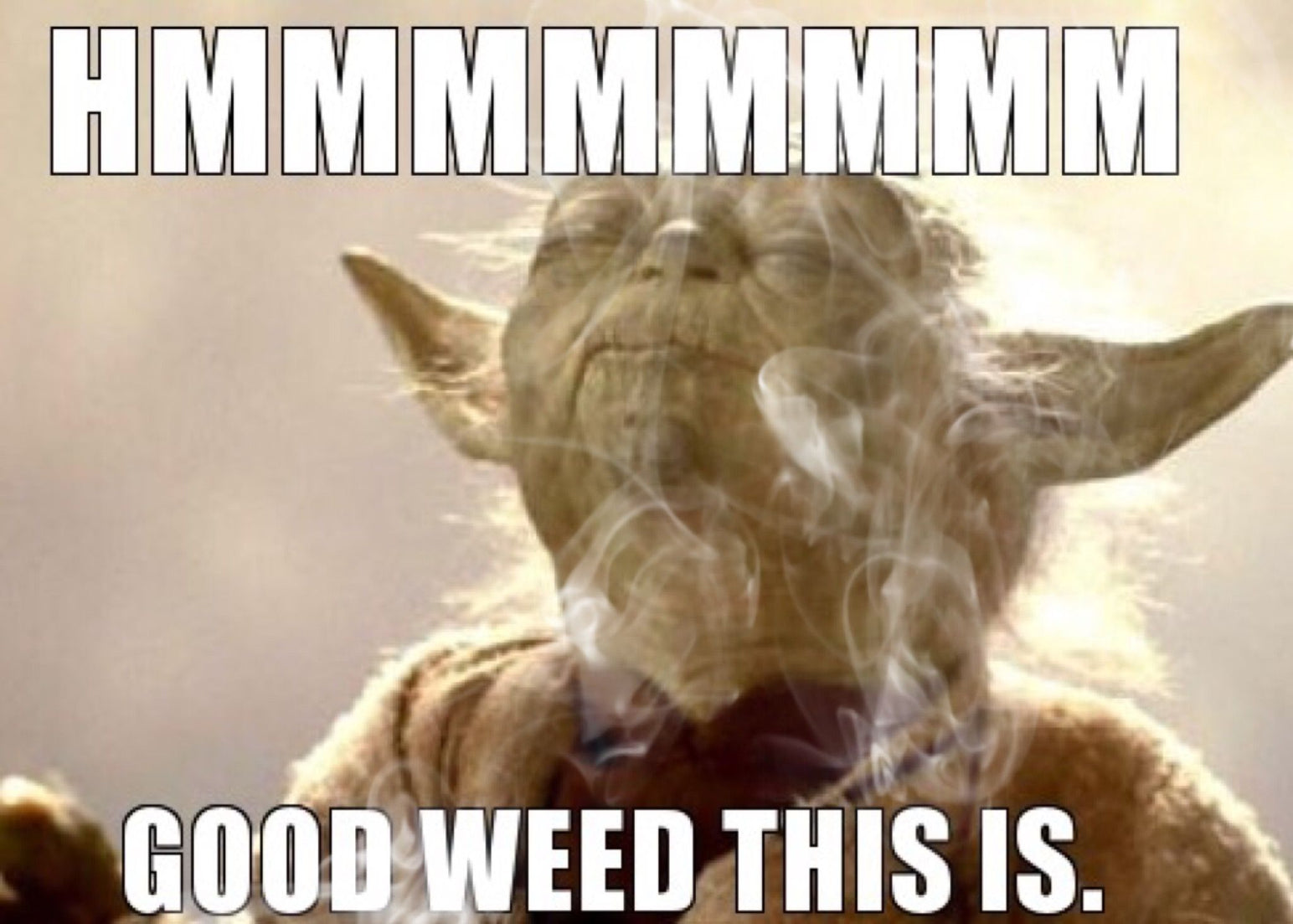 10 Awesome CBD memes You Need To See