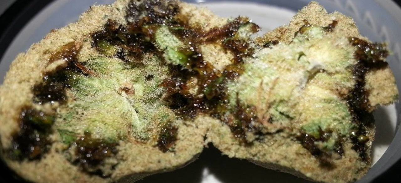 Cannabis Caviar | Sun Rock Weed Strain