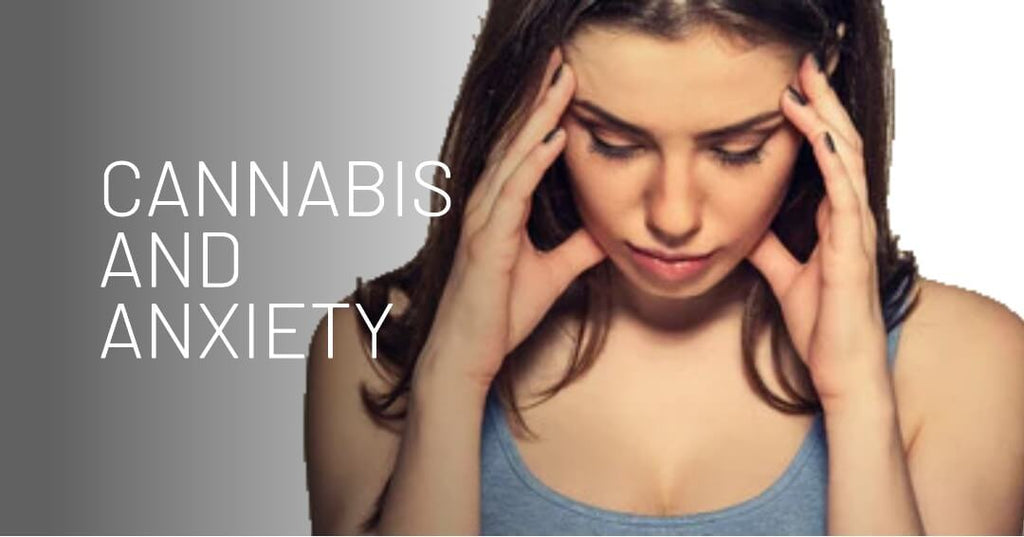 Cannabis and Anxiety: Exploring the Potential Benefits and Considerati
