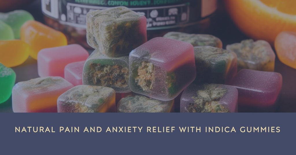Indica Gummies A Natural Path to Pain and Anxiety Relief