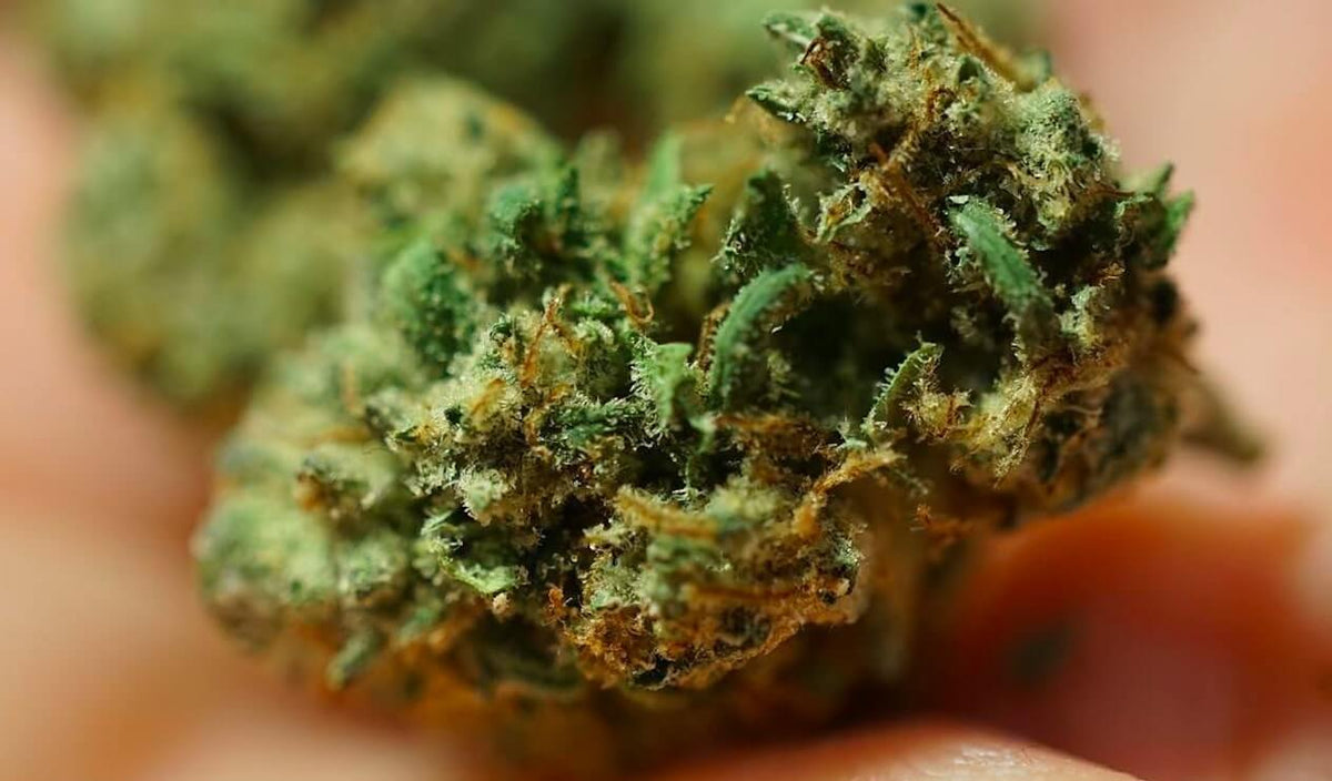 Death Star Strain Edibles Review