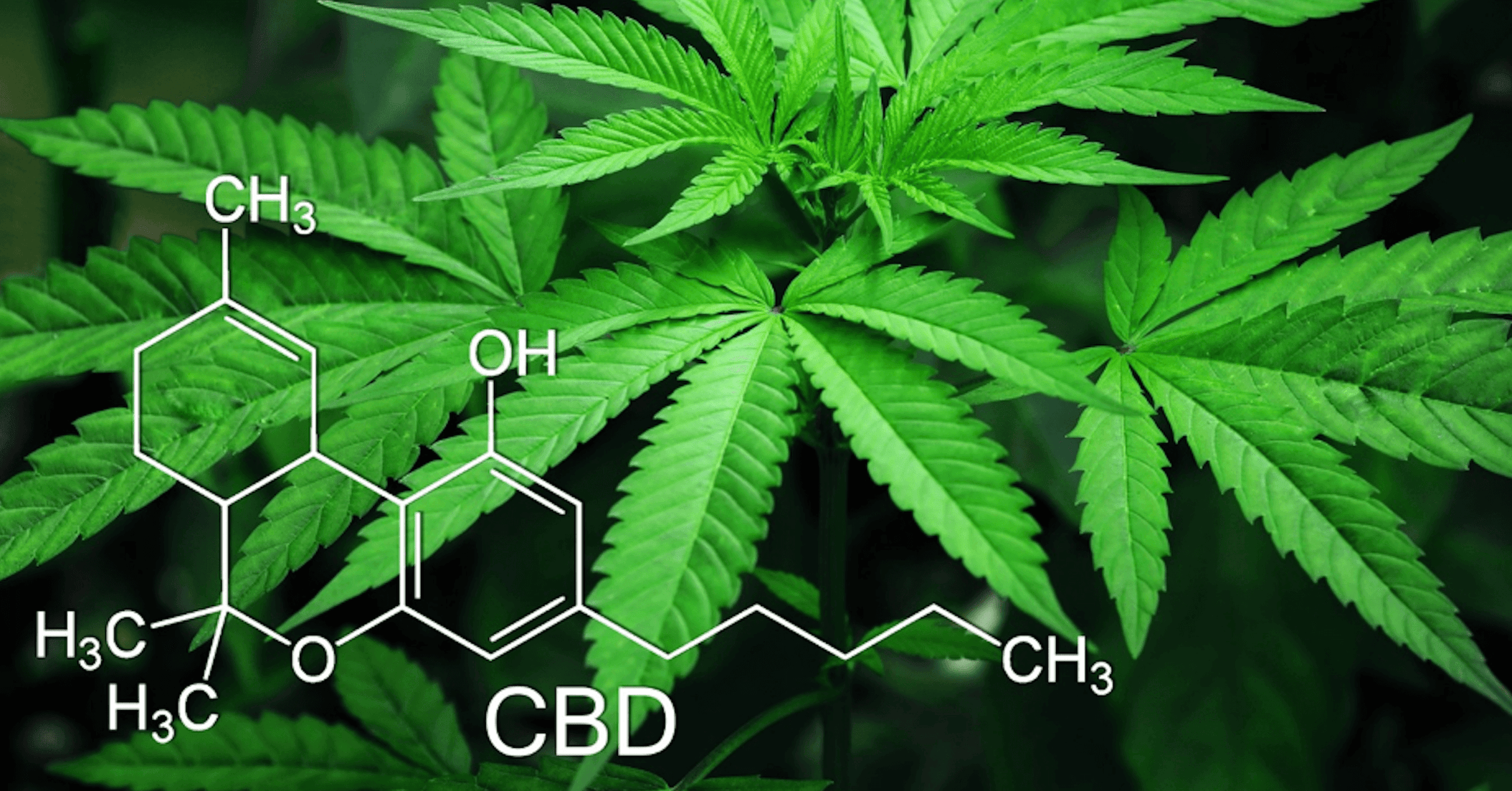 Hemp & CBD Benefits For Arthritis