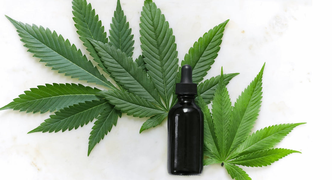 How You Should Choose the Best CBD Products for You