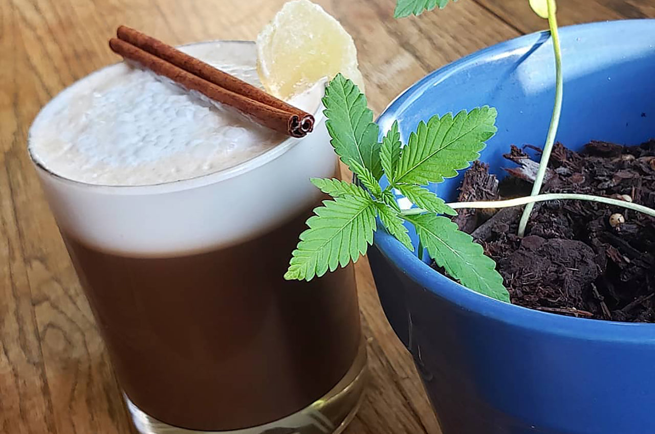 How to Make Edibles In Less than 30 Minutes | Edibles Recipe