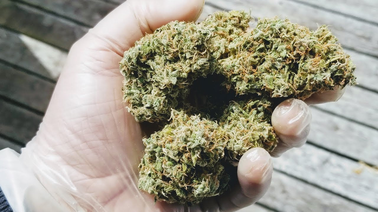 How to Dry Weed Fast |  Best Way to Dry Weed