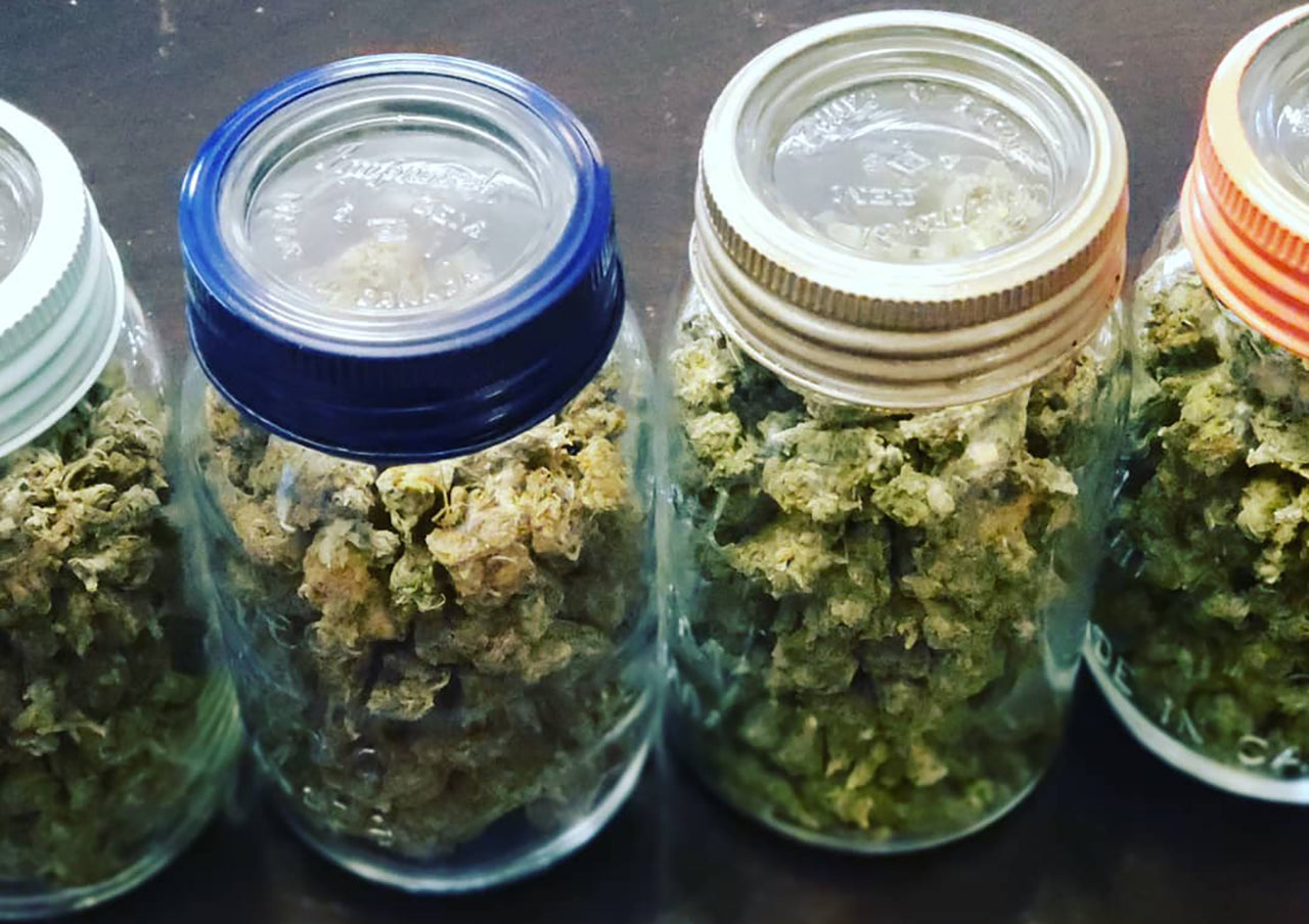 Weed in airtight jars, image from Acadia Bay on Instagram