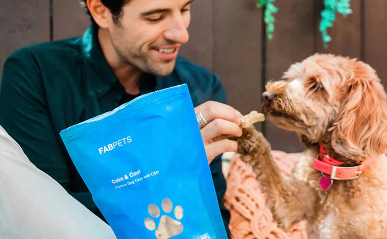 Why Fab CBD Dog Treats Are a Great Choice for Your Furry Friend?