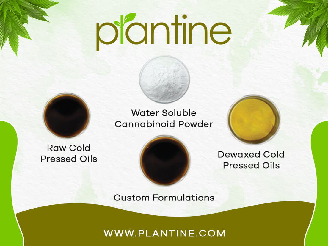 Your Natural Solution to CBD Oil: Plantine's Hemp Oils