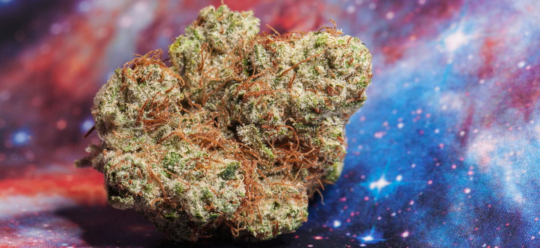 alien og hybrid marijuana strain