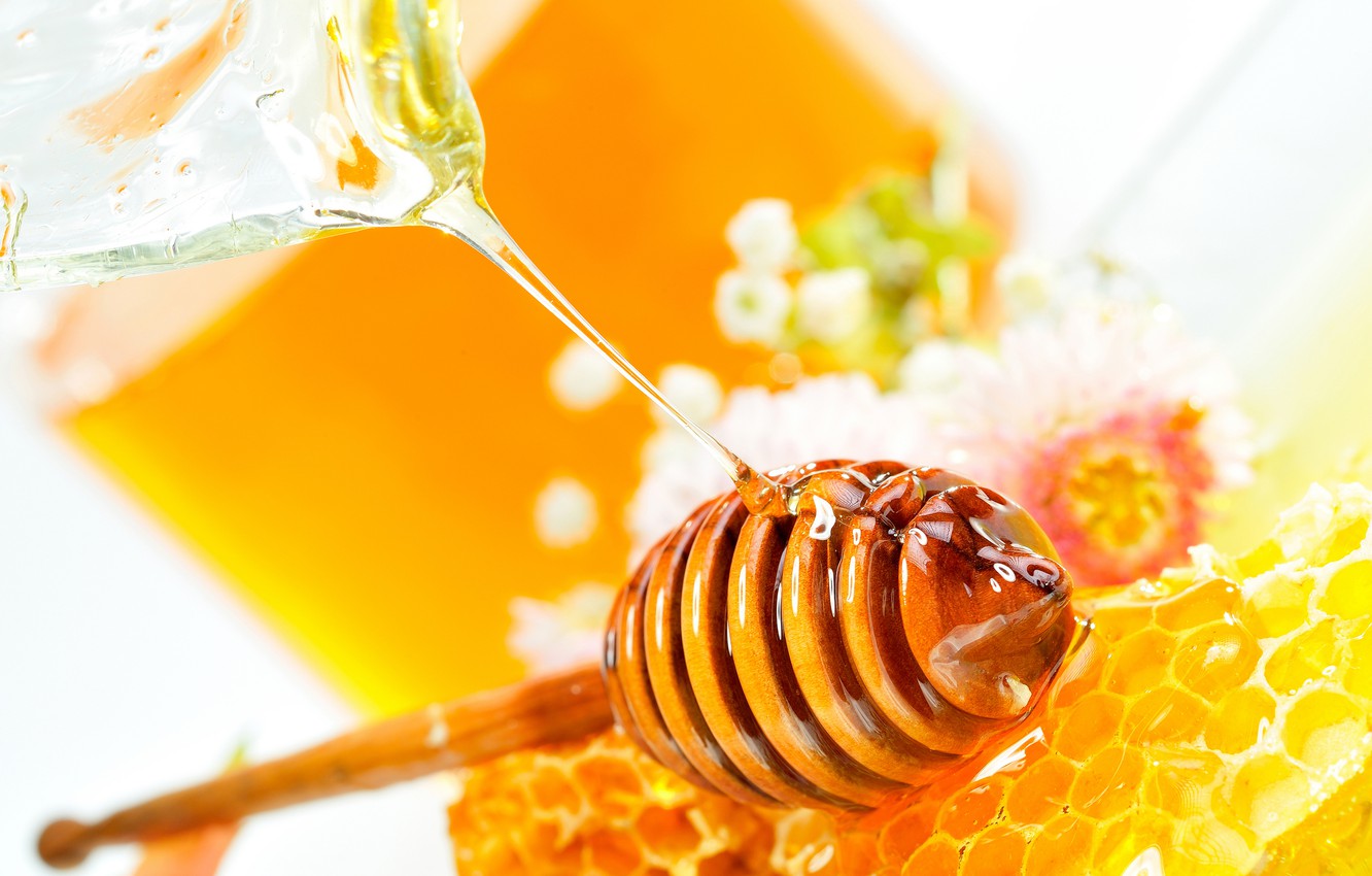 Best Hemp Honey