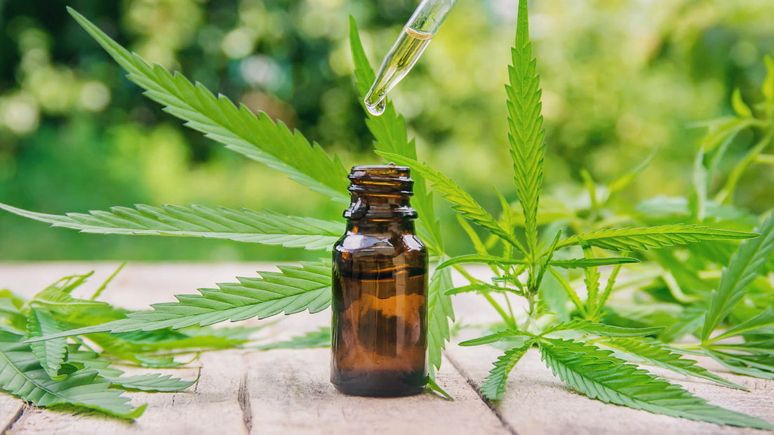 Best CBD oils