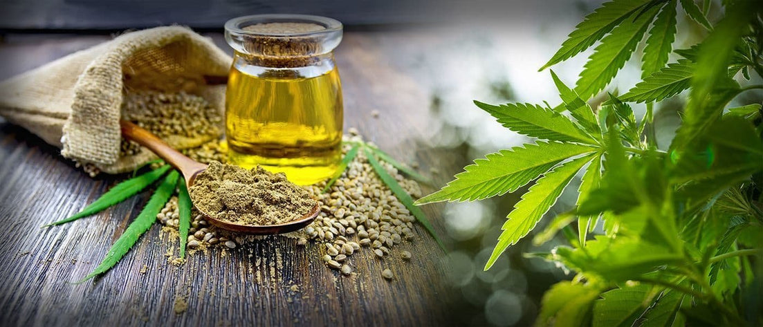 10 best hemp essential oils in the world right now!