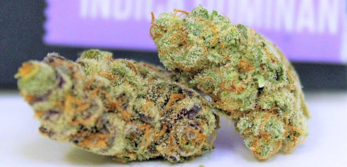 Biscotti Gelato Strain Review | Biscotti Mintz Strain