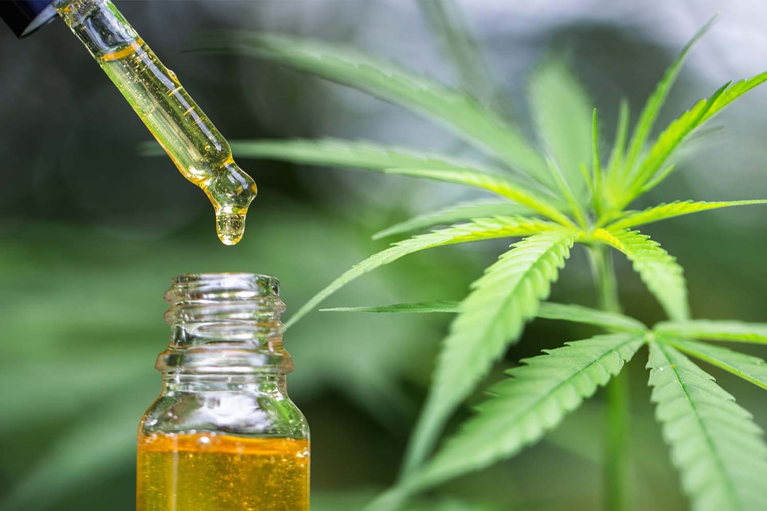What Are the Best CBD Products Right for You?