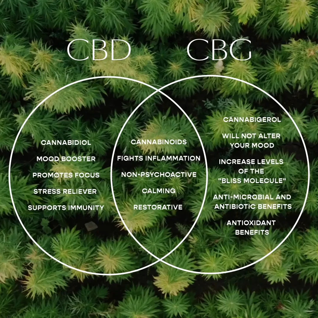 CBD Vs CBG: Uncovering The Differences And Benefits