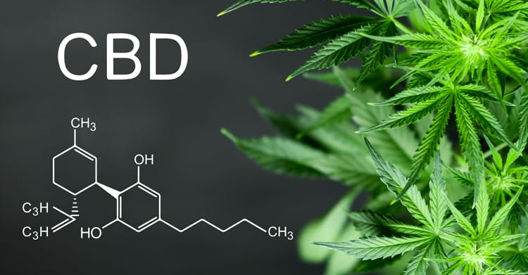 How to Assess the Quality of CBD Oil for Sale