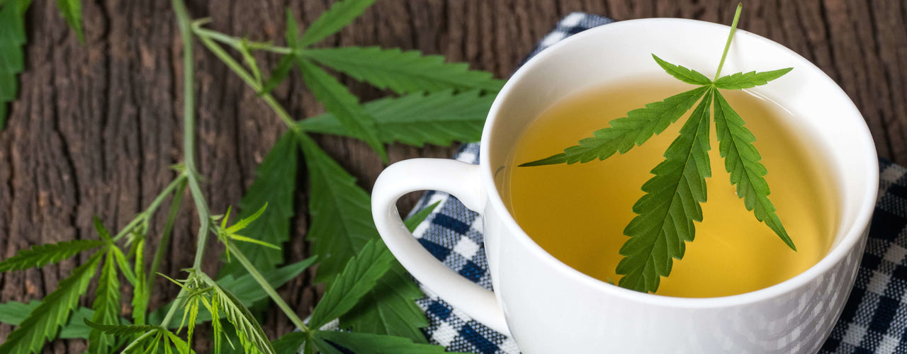 cbd tea cannabis healthy
