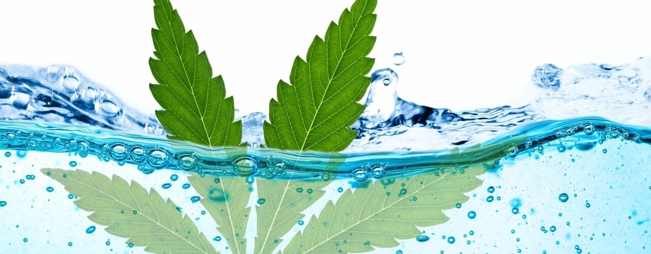 cbd water infused hemp