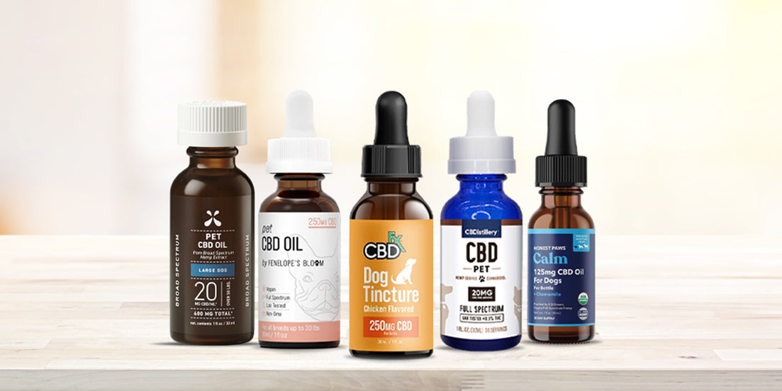 Best CBD Oil for Dogs with Arthritis!