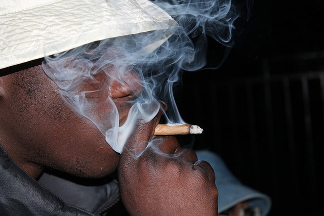 Blunts In Ril Perfecting the Art: How to Roll a Blunt Seamlessly