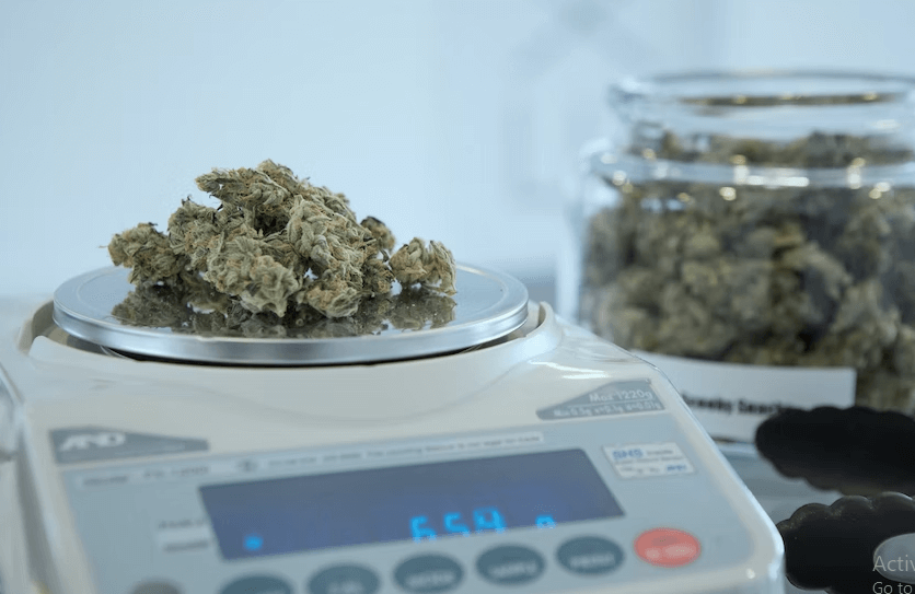 6 Biggest Challenges for the Cannabis Industry in 2022