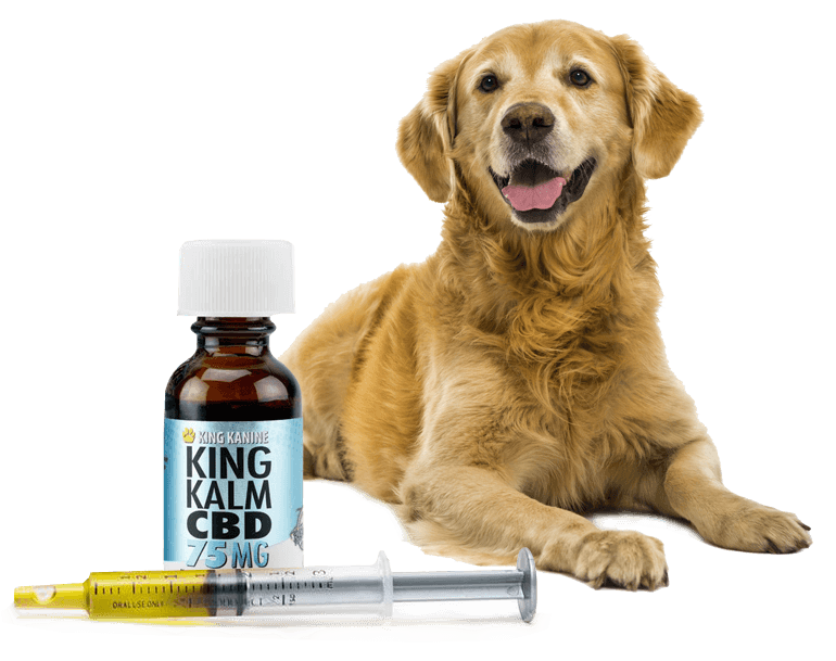 CBD Oil for Every Dog Breed
