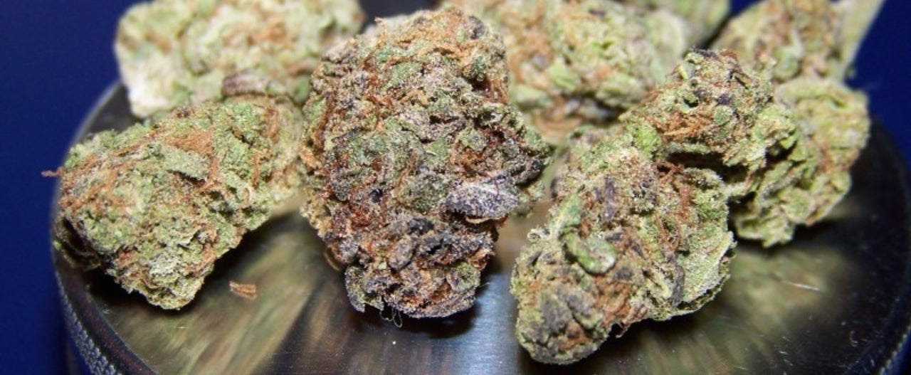Pineapple Kush Strain Review