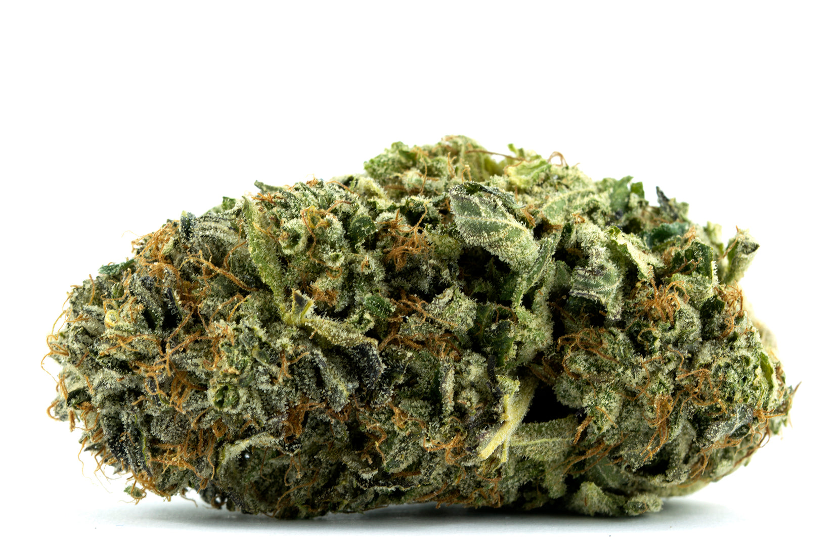 pink kush marijuana strain