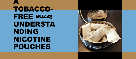A Tobacco-Free Buzz: Understanding Nicotine Pouches