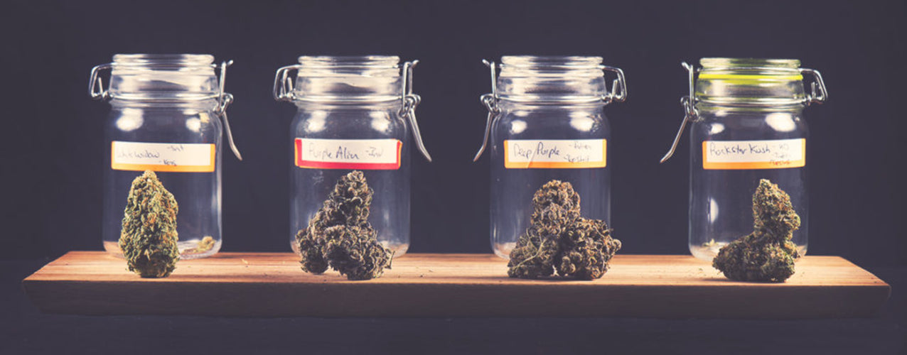 storing weed marijuana