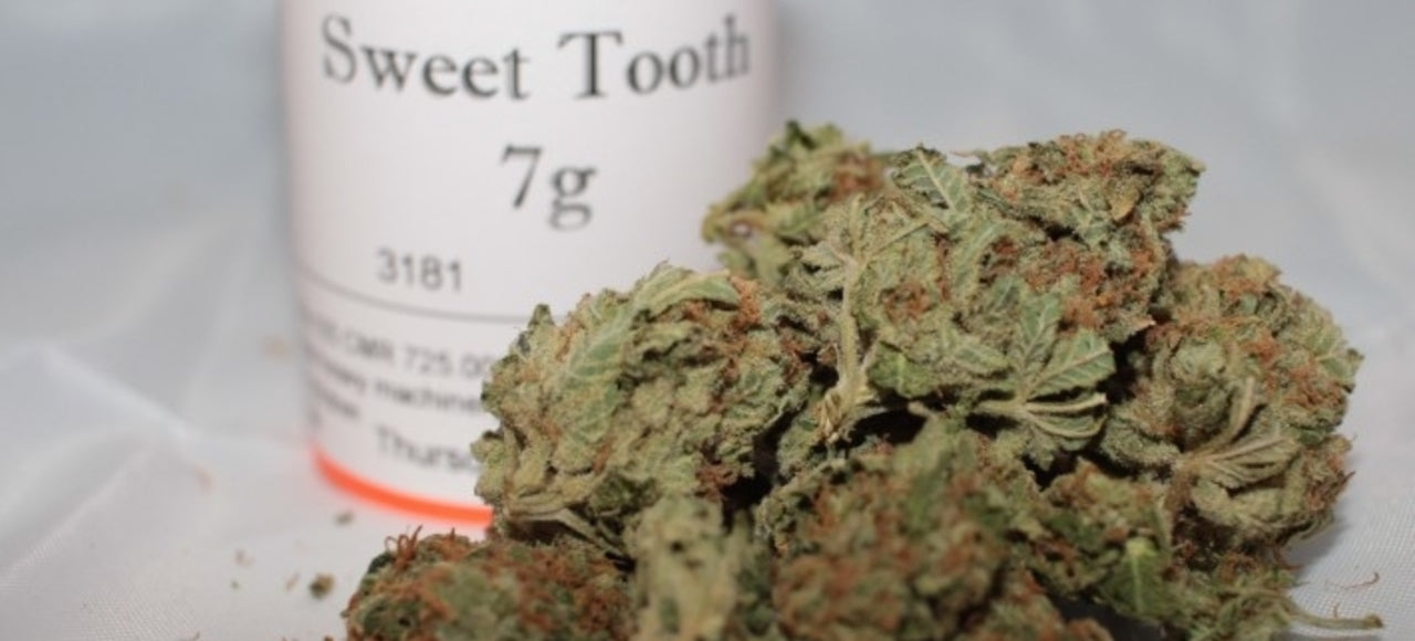 sweet tooth marijuana bud