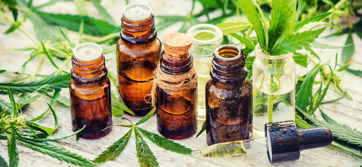 What Exactly is THC Oil & Will it Get You High? 16 Facts You Need to K