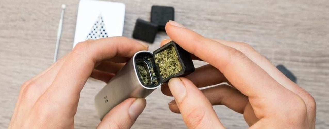 10 Best Flower Vaporizers | Pro 50 Combustor 10 Best Flower Vaporizers | Pro 50 Combustor