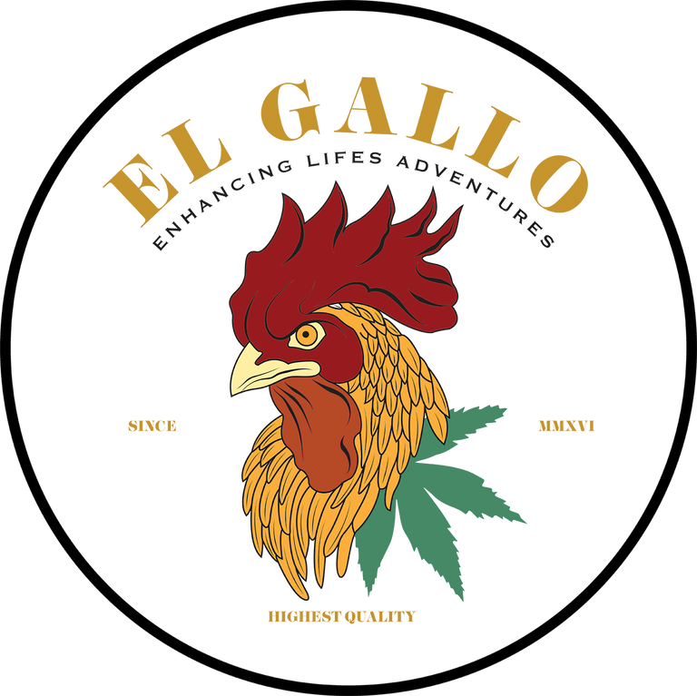 el gallo