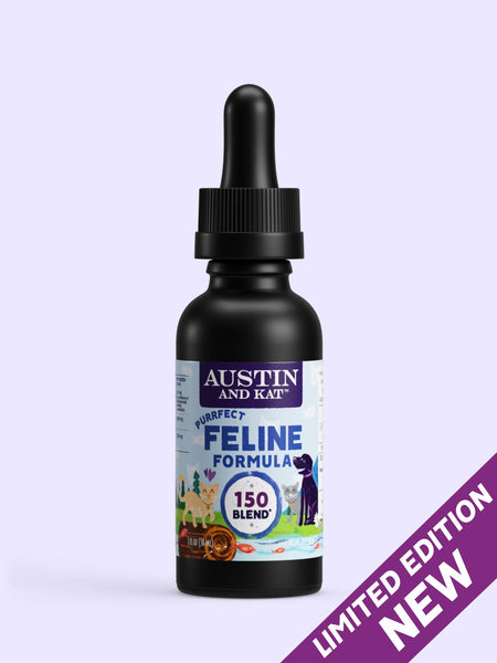 CBD Oil for Cats
